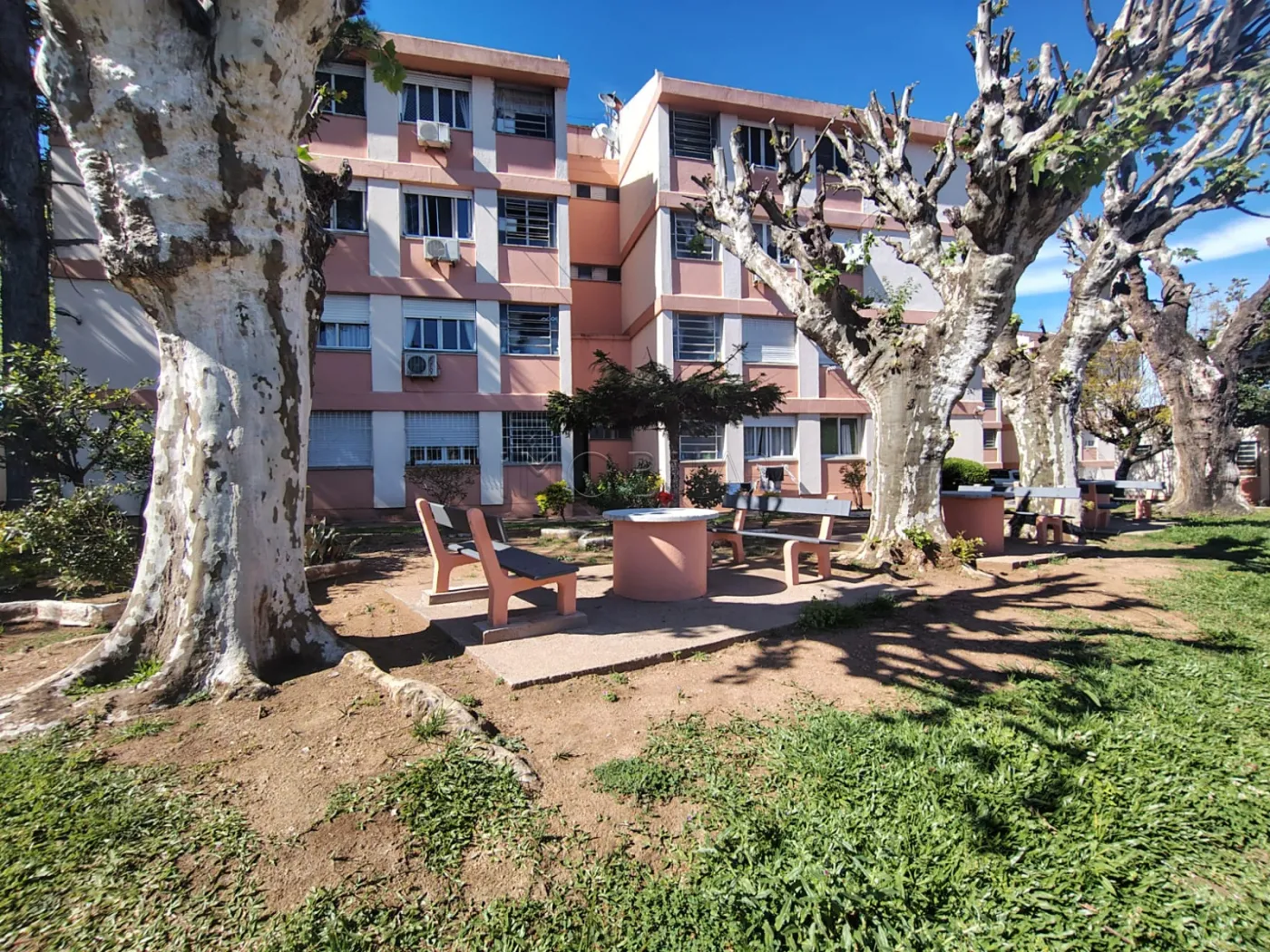 Alugar Apartamento / Padrão em Bagé R$ 800,00 - Foto 14