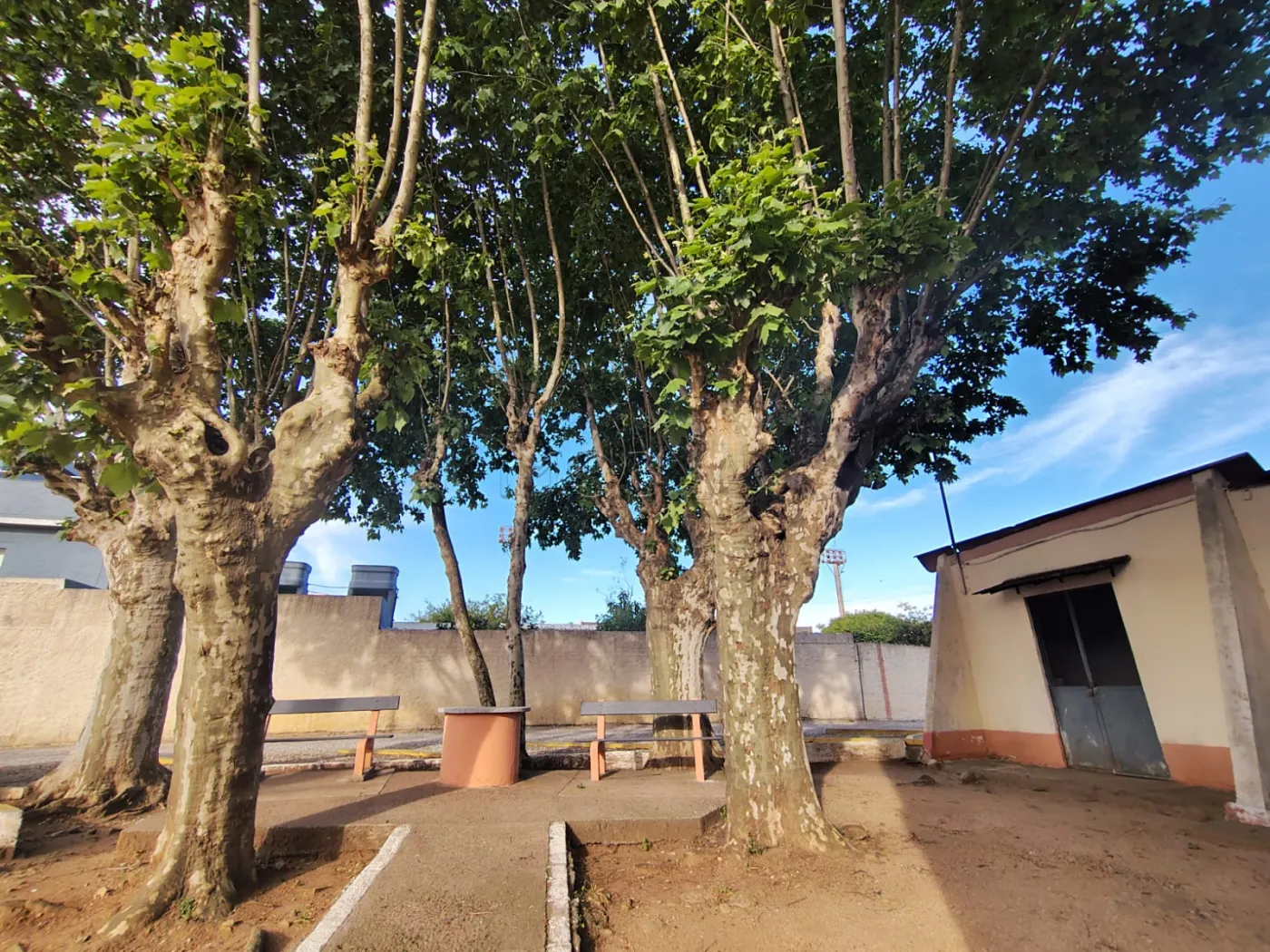 Alugar Apartamento / Padrão em Bagé R$ 800,00 - Foto 16