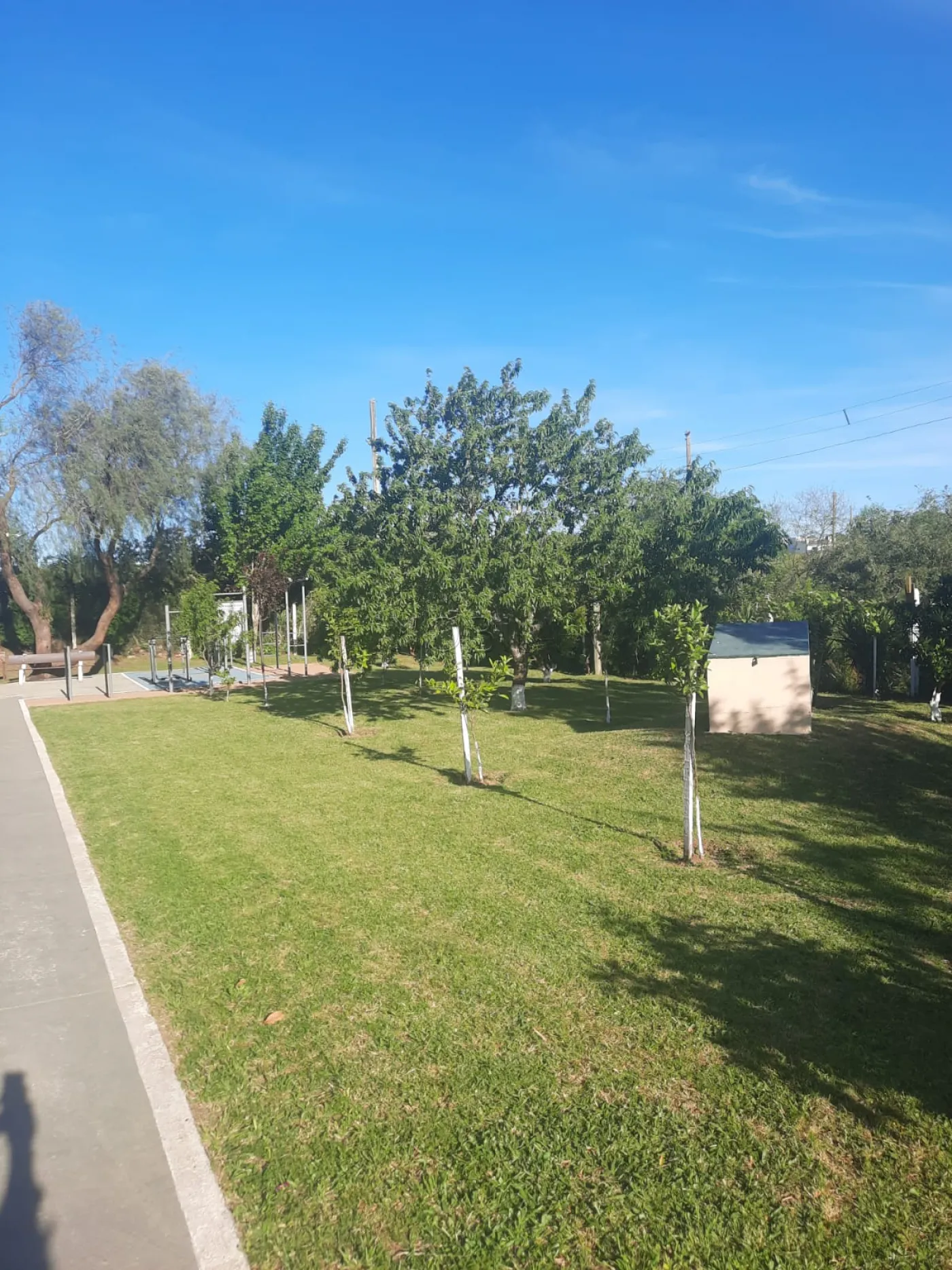 Comprar Apartamento / Padrão em Bagé R$ 180.000,00 - Foto 20