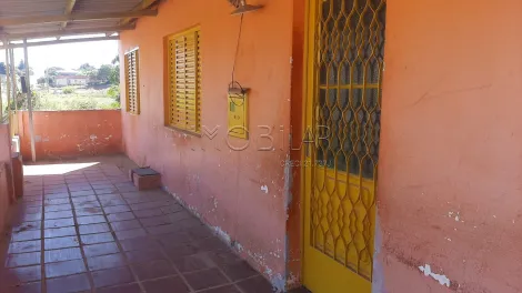 imagem 2 - Casa com 2 dormitórios, pátio amplo com árvores frutíferas. imagem 2 - Casa com 2 dormitórios, pátio amplo com árvores frutíferas.