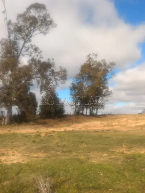 imagem 2 - Imóvel possui Área total de 9.834,73 m² imagem 2 - Imóvel possui Área total de 9.834,73 m²