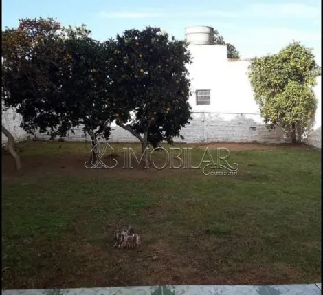 imagem 4 - Casa - Padrão imagem 4 - Casa - Padrão
