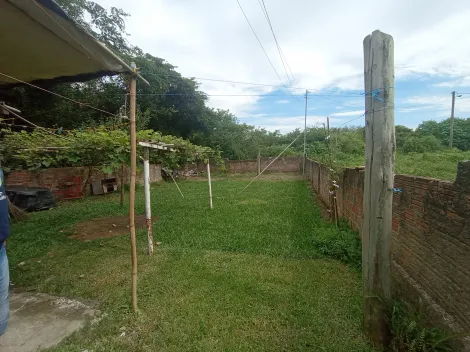 imagem 4 - Casa com amplo terreno na Vila Gaúcha imagem 4 - Casa com amplo terreno na Vila Gaúcha