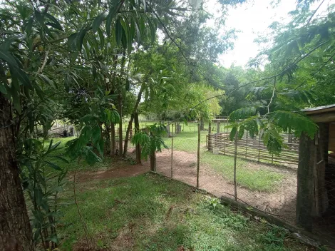 imagem 1 - Sítio Urbano à Venda! imagem 1 - Sítio Urbano à Venda!