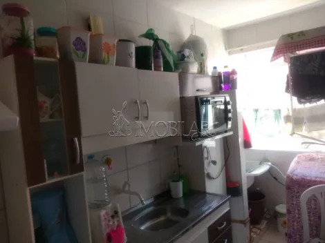 imagem 2 - Apartamento - Padrão imagem 2 - Apartamento - Padrão