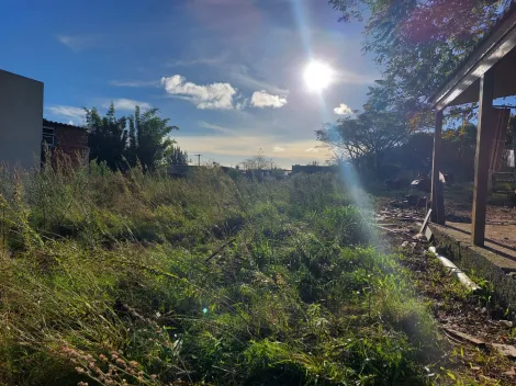 imagem 2 - TERRENO NO BAIRRO IVONE imagem 2 - TERRENO NO BAIRRO IVONE