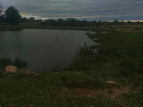 imagem 5 - Terreno com área de 1,5 hectares com açude imagem 5 - Terreno com área de 1,5 hectares com açude