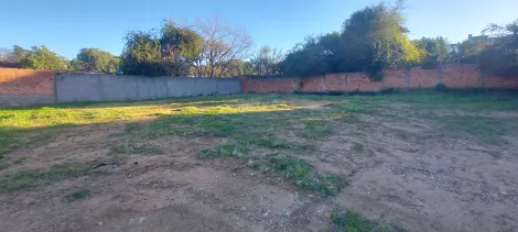 imagem 2 - Amplo e central! Terreno apto para comercial ou moradia! Raridade! imagem 2 - Amplo e central! Terreno apto para comercial ou moradia! Raridade!