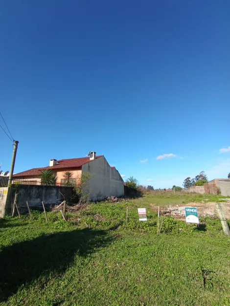 imagem 2 - Terreno Amplo à Venda - 650m² em Rua Asfaltada! imagem 2 - Terreno Amplo à Venda - 650m² em Rua Asfaltada!