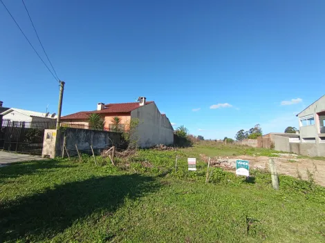 imagem 1 - Terreno Amplo à Venda - 650m² em Rua Asfaltada! imagem 1 - Terreno Amplo à Venda - 650m² em Rua Asfaltada!