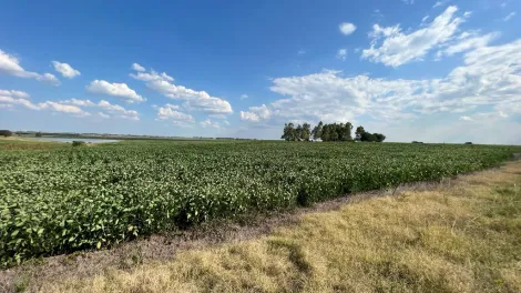 imagem 4 - Excelente oportunidade de Negócio Rural imagem 4 - Excelente oportunidade de Negócio Rural