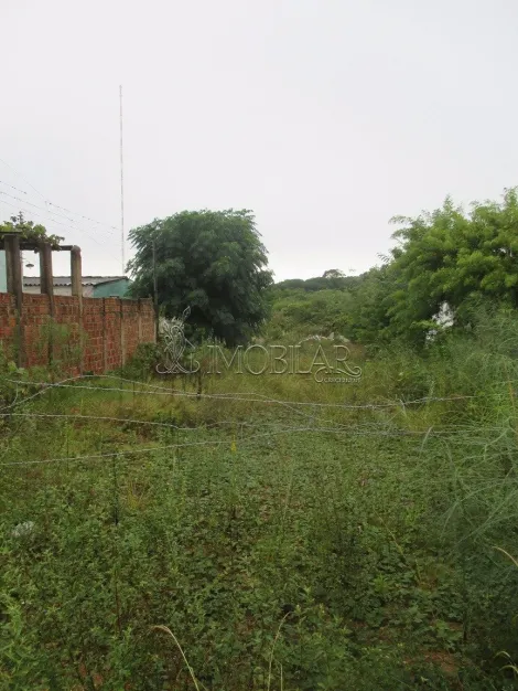 imagem 2 - Terreno Amplo no Anel Rodoviário, próximo a EBTC. imagem 2 - Terreno Amplo no Anel Rodoviário, próximo a EBTC.