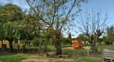 imagem 3 - Terreno - Padrão imagem 3 - Terreno - Padrão
