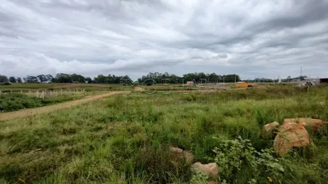 Alugar Terreno / Padrão em Bagé. apenas R$ 75.000,00