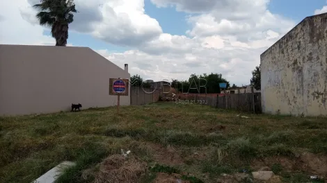 imagem 1 - Terreno - Padrão imagem 1 - Terreno - Padrão