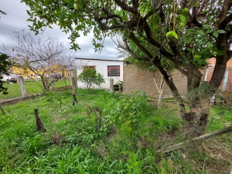 imagem 5 - Imóvel com amplo terreno à venda imagem 5 - Imóvel com amplo terreno à venda