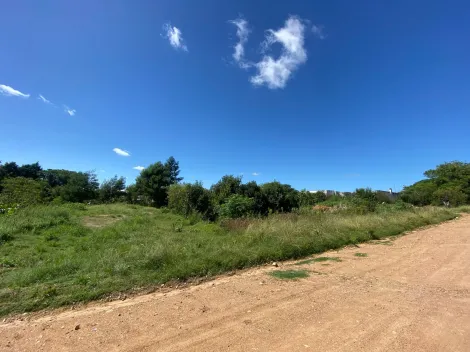 imagem 1 - Terrenos à venda - oportunidade imperdível! imagem 1 - Terrenos à venda - oportunidade imperdível!