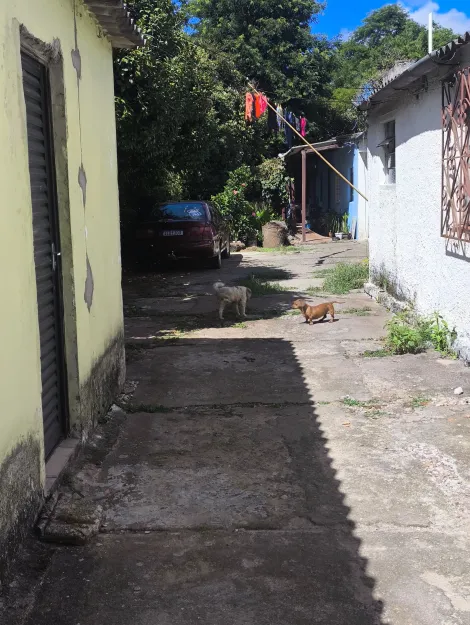 imagem 3 - 3 casas em amplo terreno. São muitas as possibilidades!!! imagem 3 - 3 casas em amplo terreno. São muitas as possibilidades!!!