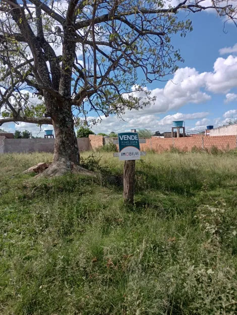 imagem 1 - Terreno   com  posição solar  Previlegiada e Tamanho Excelente imagem 1 - Terreno   com  posição solar  Previlegiada e Tamanho Excelente
