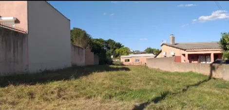 imagem 1 - Terreno - Padrão imagem 1 - Terreno - Padrão