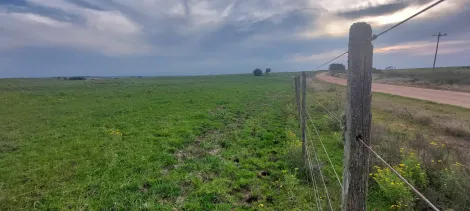 imagem 1 - CAMPO À VENDA - LOCALIZADO 10 KM DA CIDADE imagem 1 - CAMPO À VENDA - LOCALIZADO 10 KM DA CIDADE