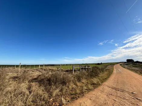 imagem 4 - CAMPO À VENDA - LOCALIZADO 10 KM DA CIDADE imagem 4 - CAMPO À VENDA - LOCALIZADO 10 KM DA CIDADE