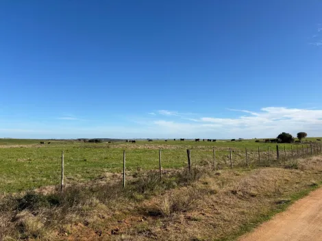imagem 5 - CAMPO À VENDA - LOCALIZADO 10 KM DA CIDADE imagem 5 - CAMPO À VENDA - LOCALIZADO 10 KM DA CIDADE