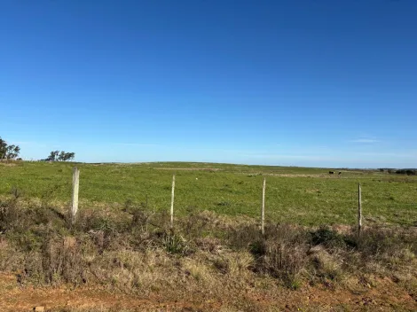 imagem 2 - CAMPO À VENDA - LOCALIZADO 10 KM DA CIDADE imagem 2 - CAMPO À VENDA - LOCALIZADO 10 KM DA CIDADE
