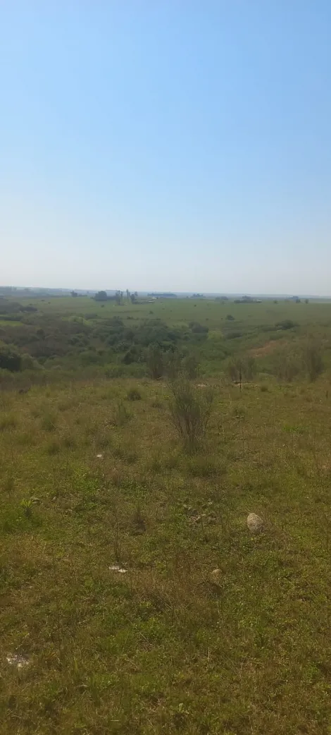 imagem 2 - 5 hectares na entrada de Aceguá! imagem 2 - 5 hectares na entrada de Aceguá!