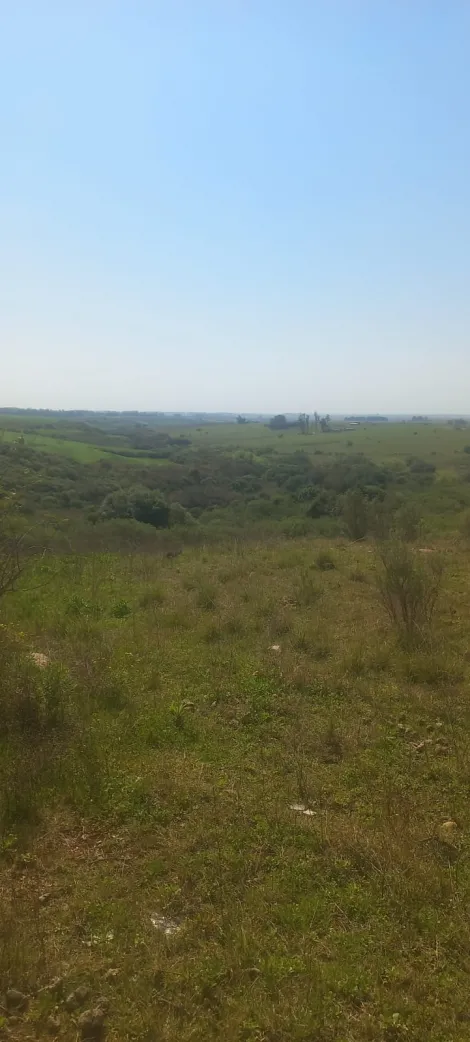 imagem 3 - 5 hectares na entrada de Aceguá! imagem 3 - 5 hectares na entrada de Aceguá!