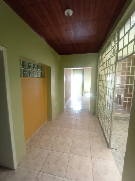 imagem 5 - Oportunidade imperdível em Bagé! imagem 5 - Oportunidade imperdível em Bagé!