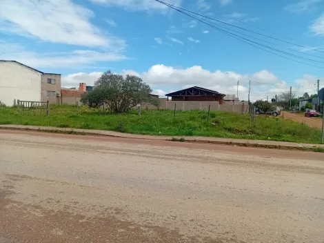 imagem 1 - Terreno em rua Asfaltada imagem 1 - Terreno em rua Asfaltada